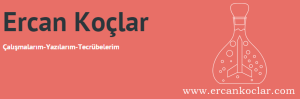 Çalışmalarım - Yazılarım - Tecrubelerim